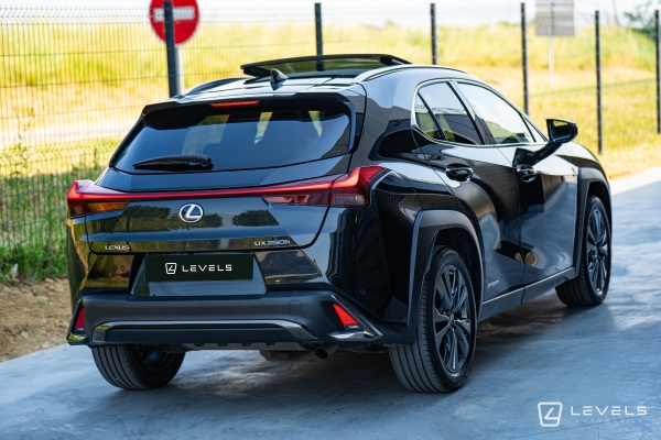 Lexus UX 250H 4WD F SPORT