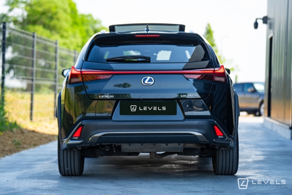 Lexus UX 250H 4WD F SPORT