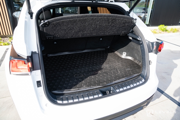 LEXUS NX 300H AWD F-SPORT EXECUTIVE 