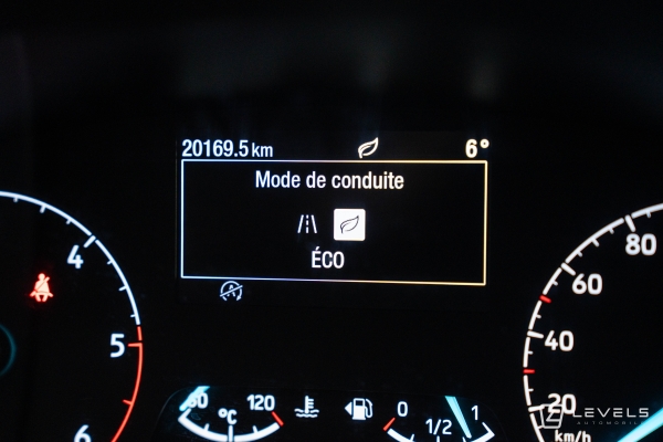 Utilitaire FORD TRANSIT CUSTOM L2H1 2.0 ECOBLUE 130 CH TREND BUSINESS