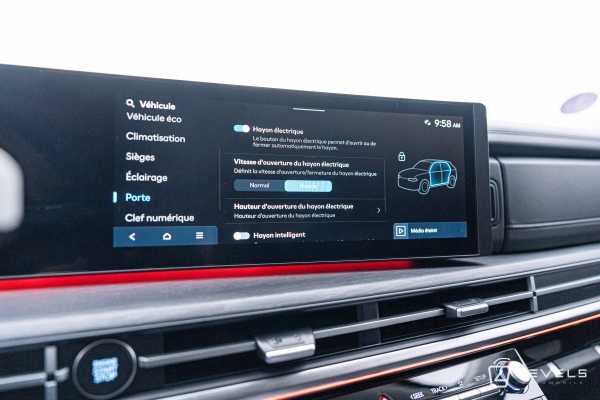 Hyundai SANTA FE 1.6 T-GDI 253 CH PHEV EXECUTIVE HTRAC - 7 Places