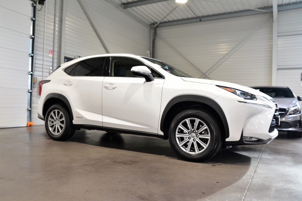 LEXUS NX 300H PACK BUSINESS 4WD