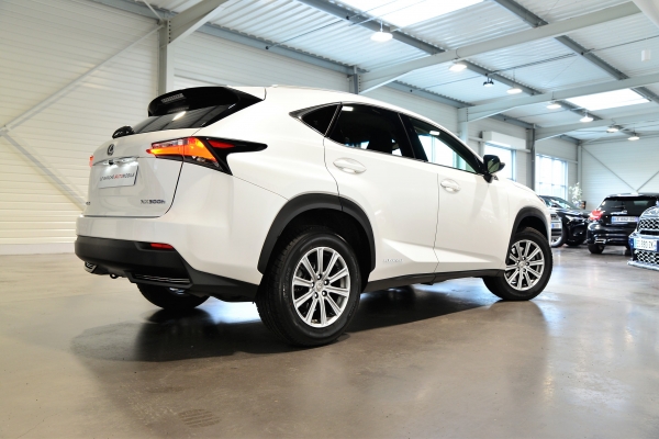 LEXUS NX 300H PACK BUSINESS 4WD