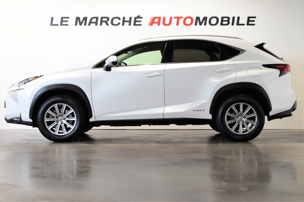 LEXUS NX 300H PACK BUSINESS 4WD