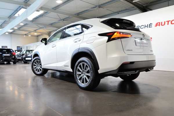 LEXUS NX 300H PACK BUSINESS 4WD