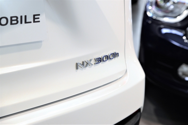 LEXUS NX 300H PACK BUSINESS 4WD