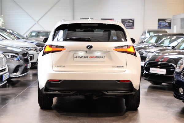 LEXUS NX 300H PACK BUSINESS 4WD